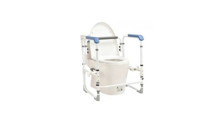 Toilet seat, toilet grab bar
